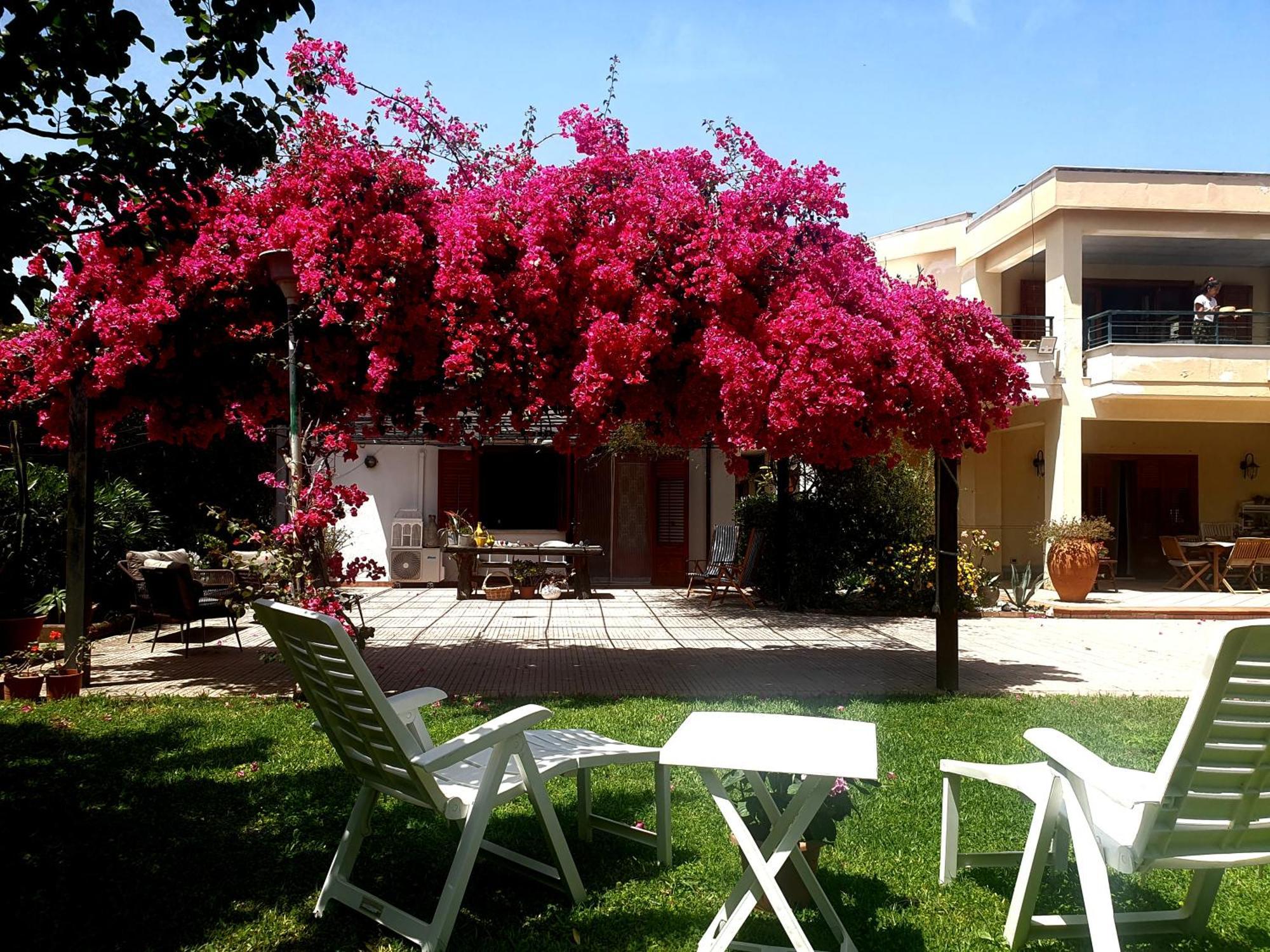 La Depandance Di Villa Rosa Locazioni Brevi 蒙德罗 外观 照片